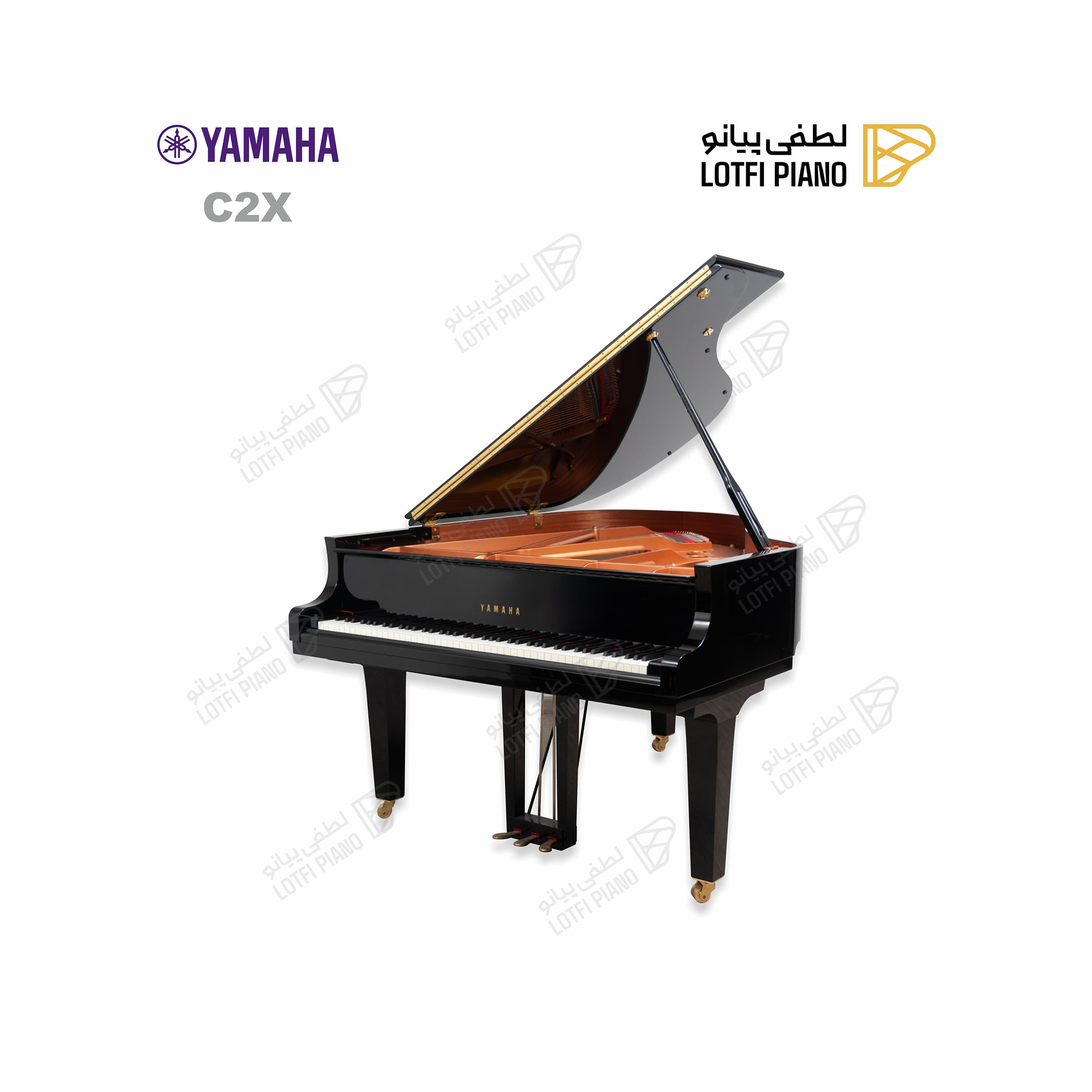 YAMAHA C2X