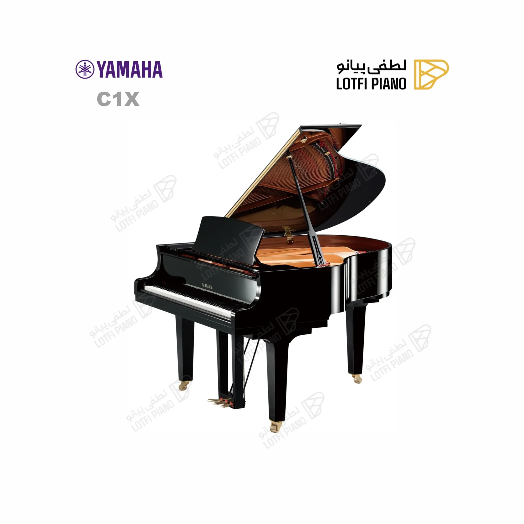 YAMAHA C1X