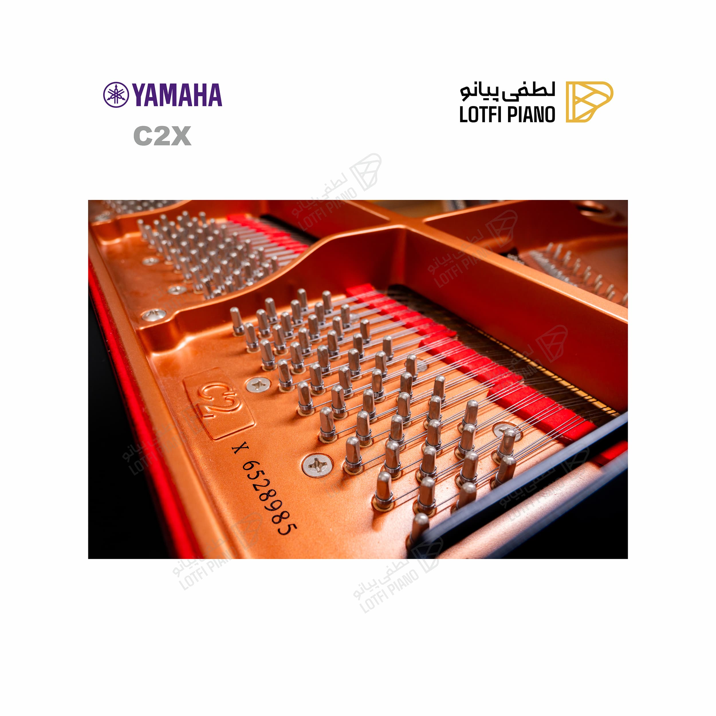 YAMAHA C2X - thumbnail 5