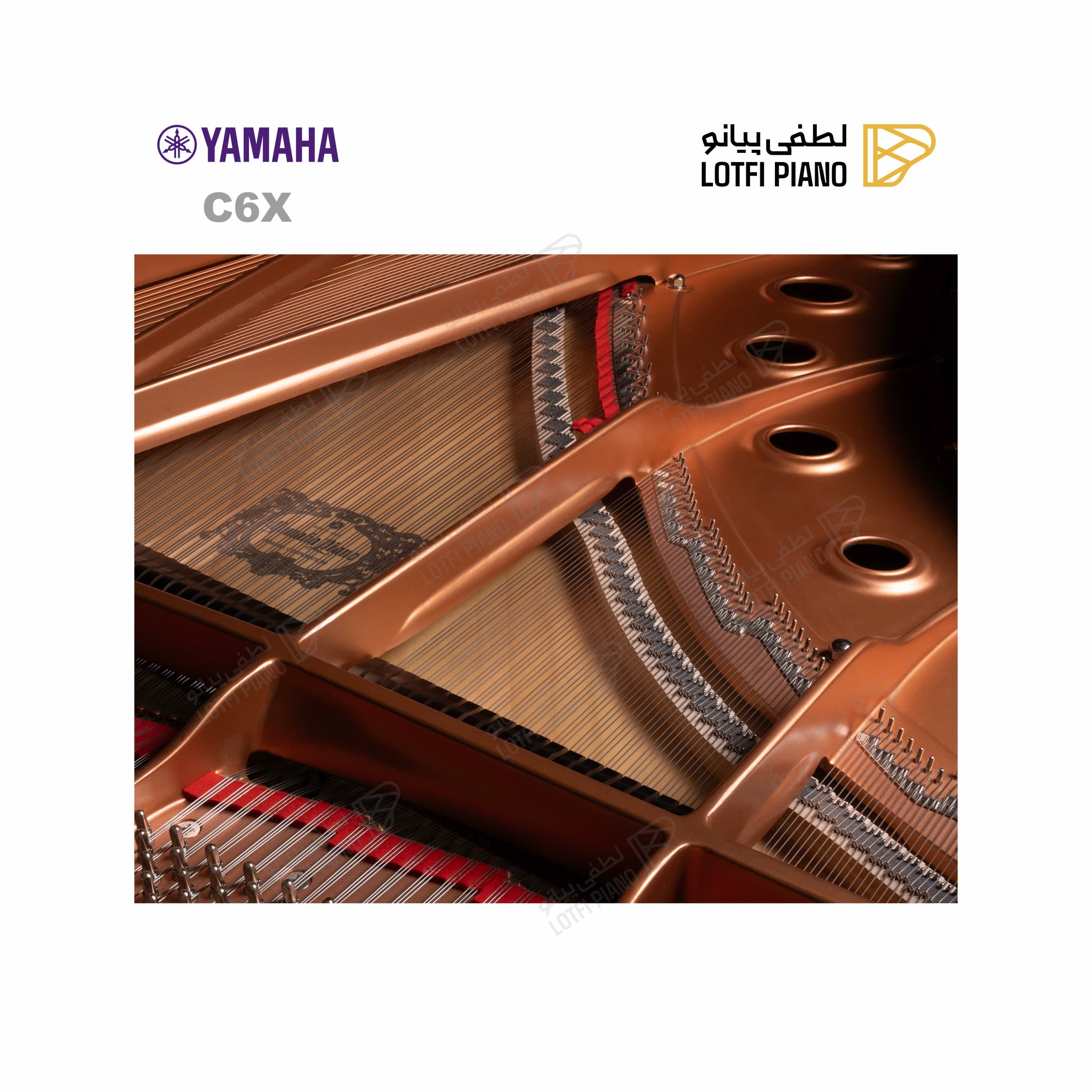 YAMAHA C6X - thumbnail 4