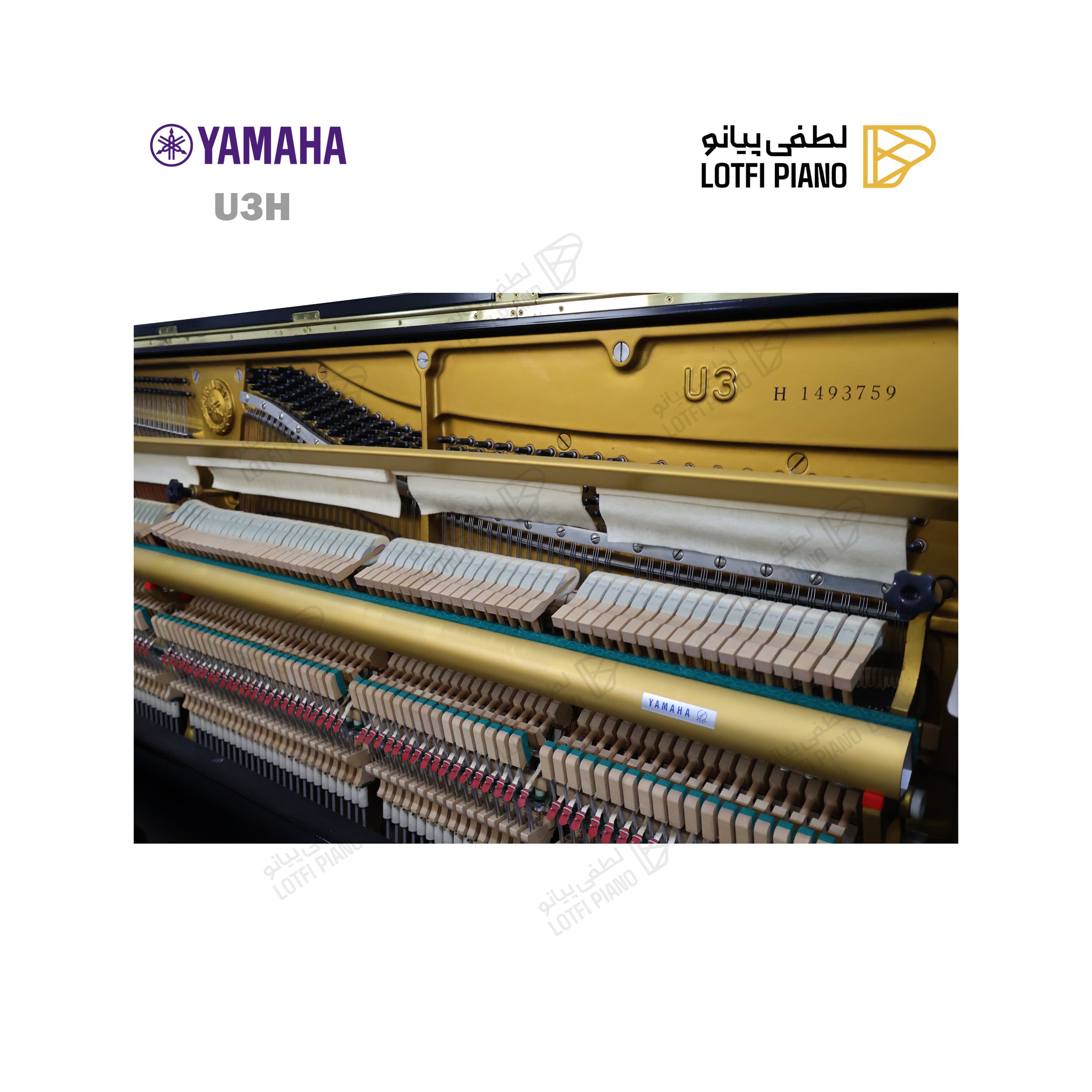 YAMAHA U3 H - thumbnail 3