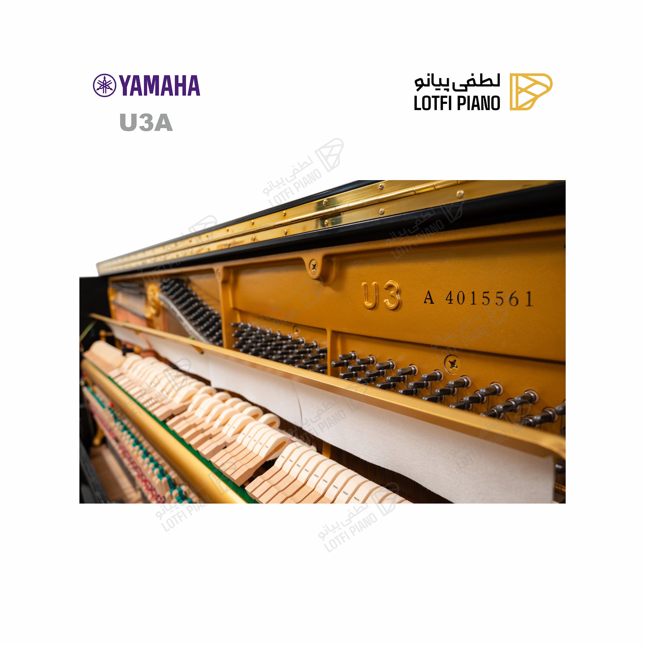 YAMAHA U3A - thumbnail 5