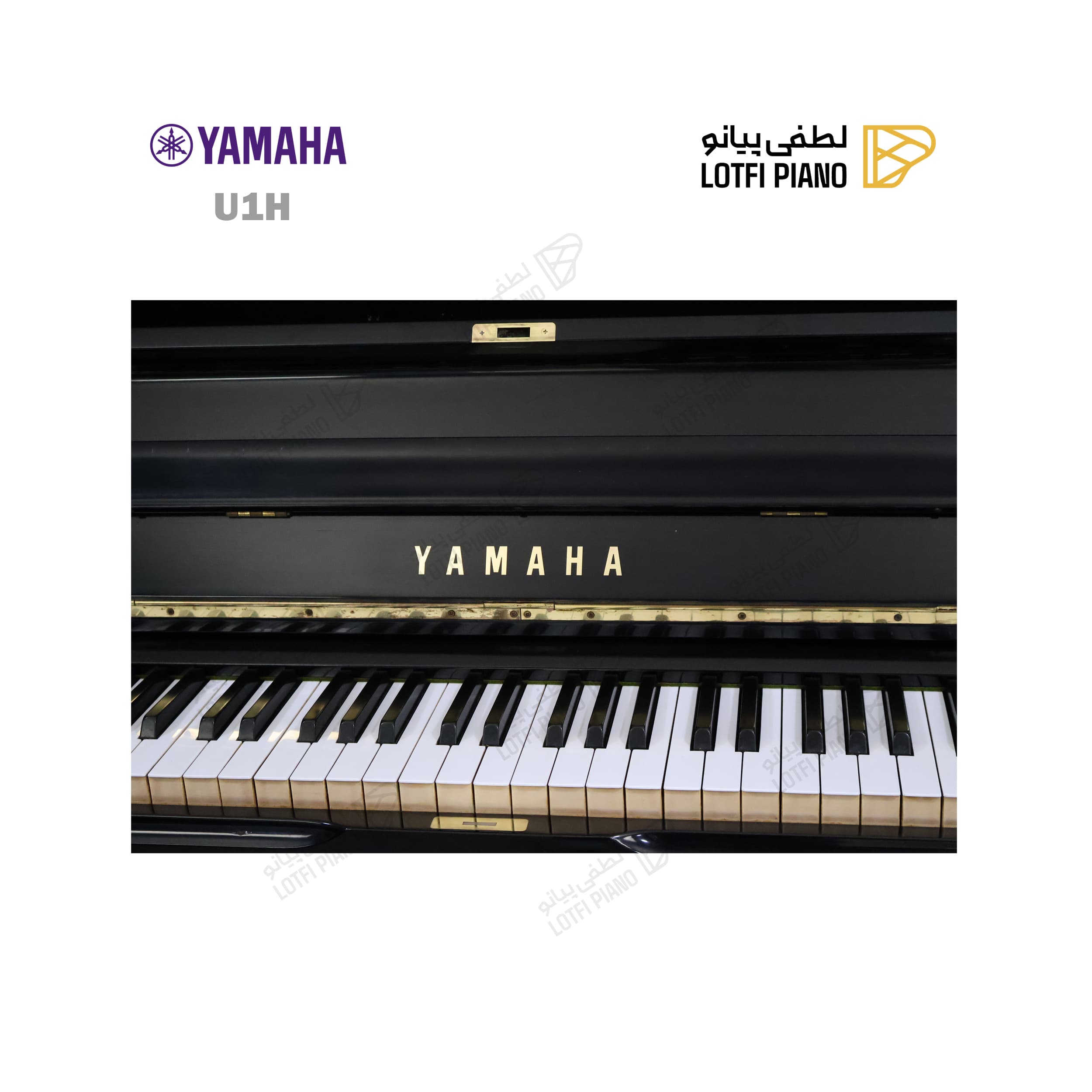 YAMAHA U1H - thumbnail 3