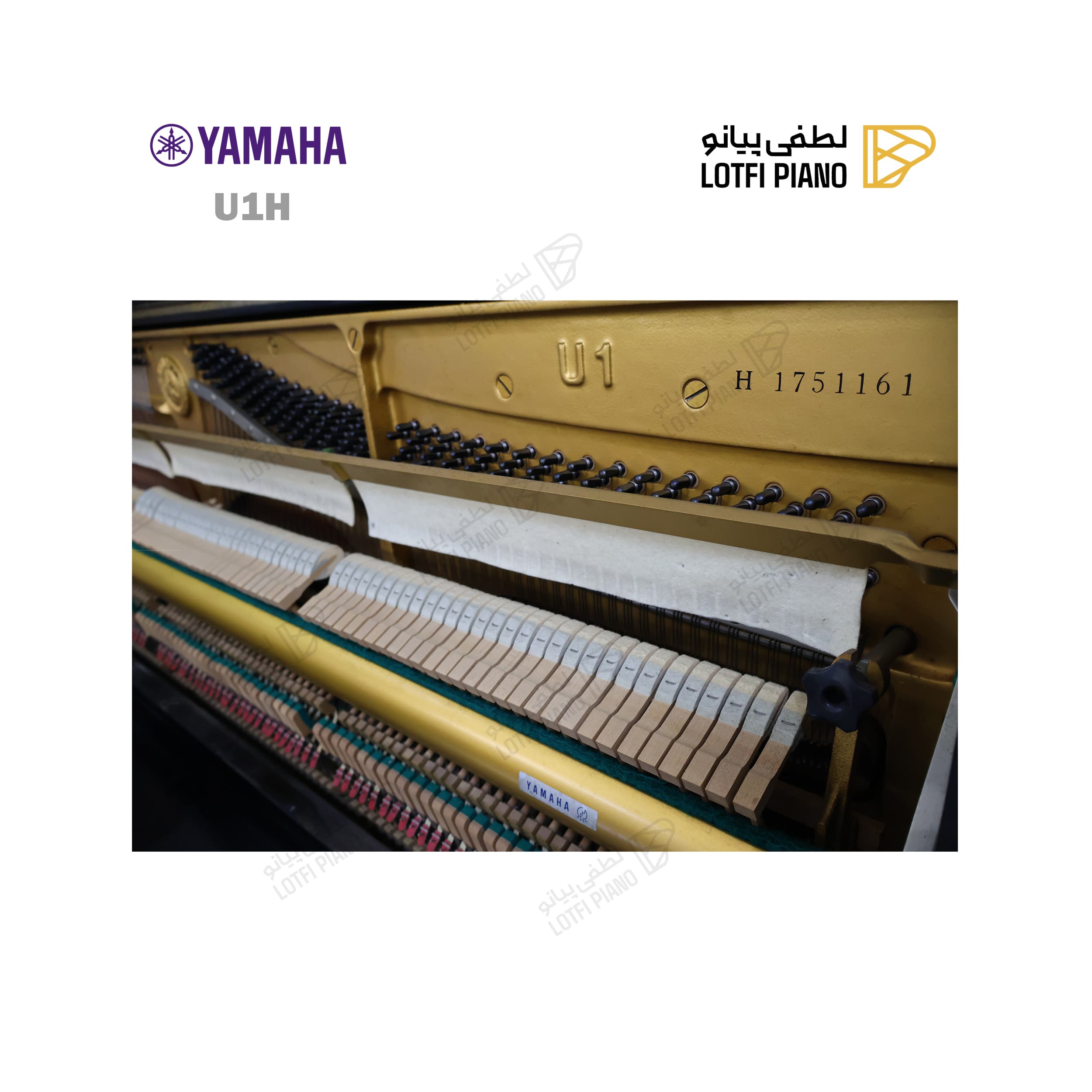 YAMAHA U1H - thumbnail 4