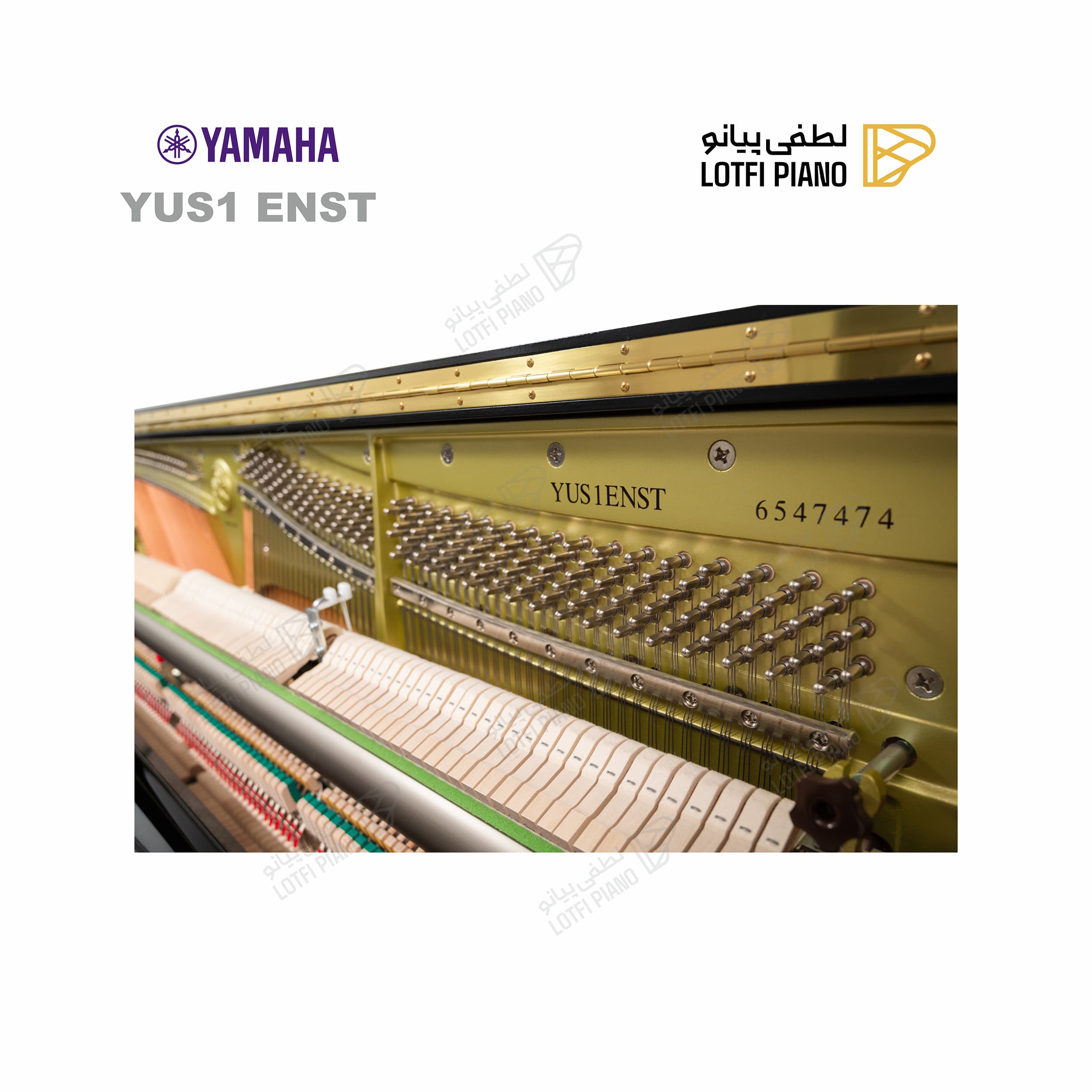 YAMAHA YUS1ENST - thumbnail 2