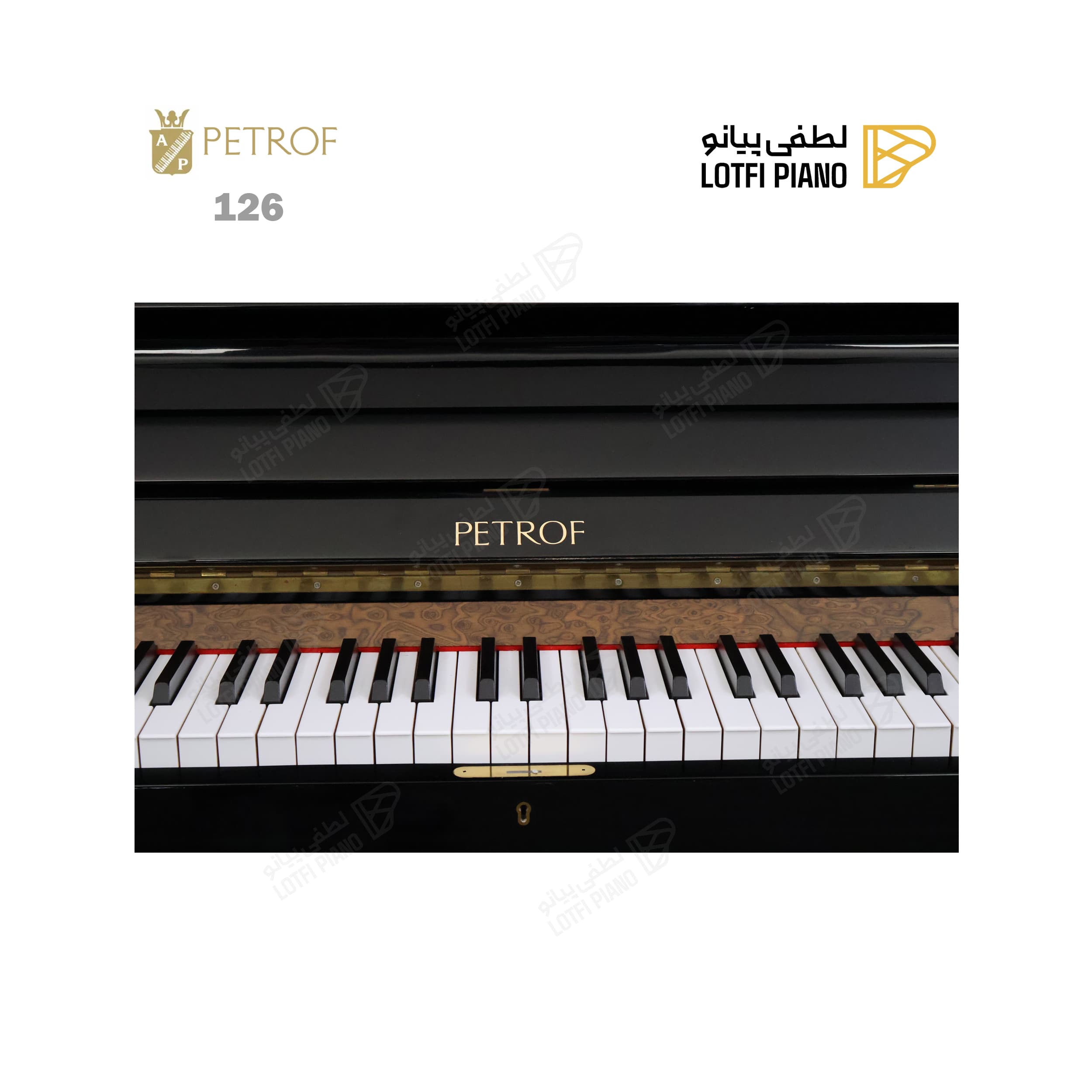 PETROF 126 - thumbnail 4