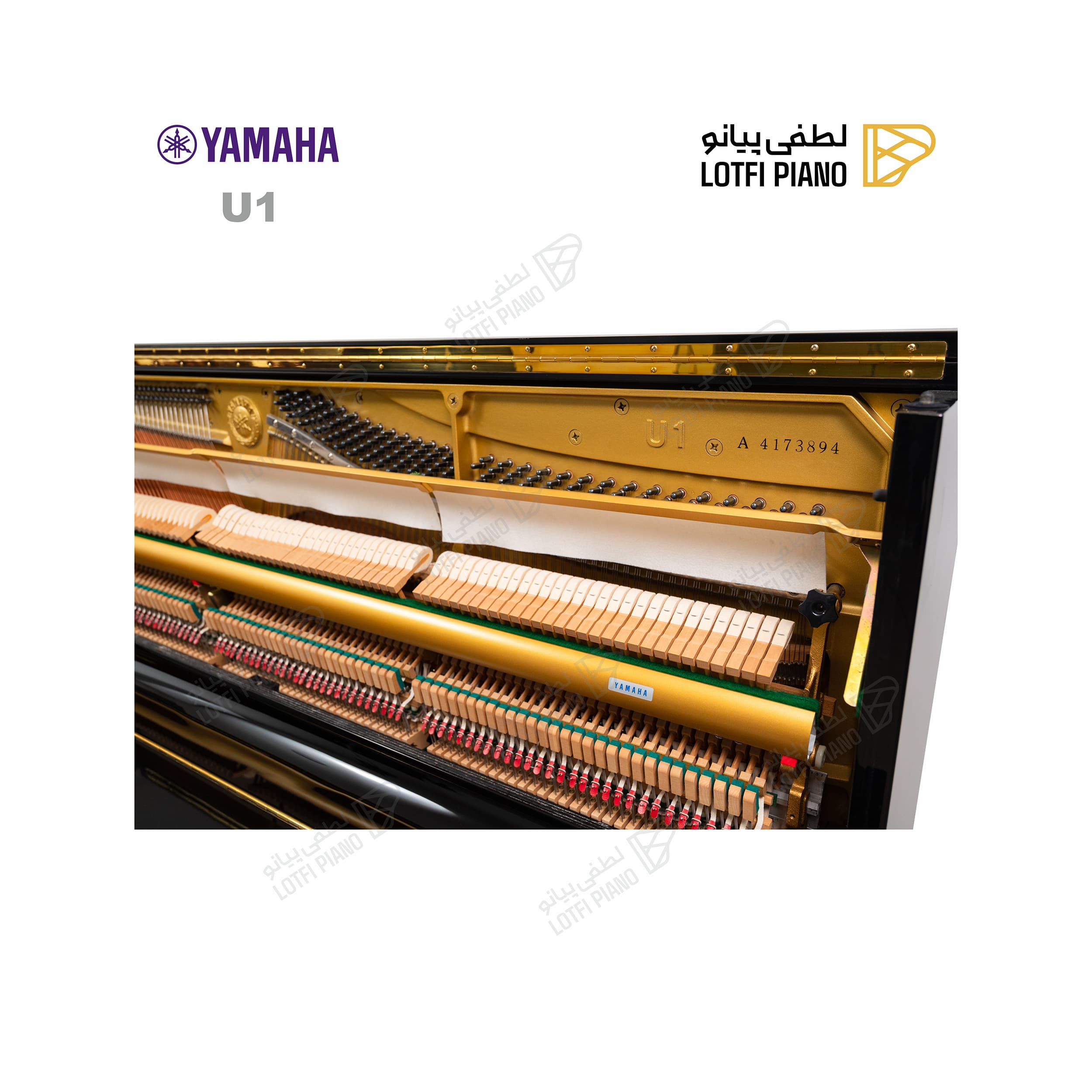 YAMAHA U1A - thumbnail 5