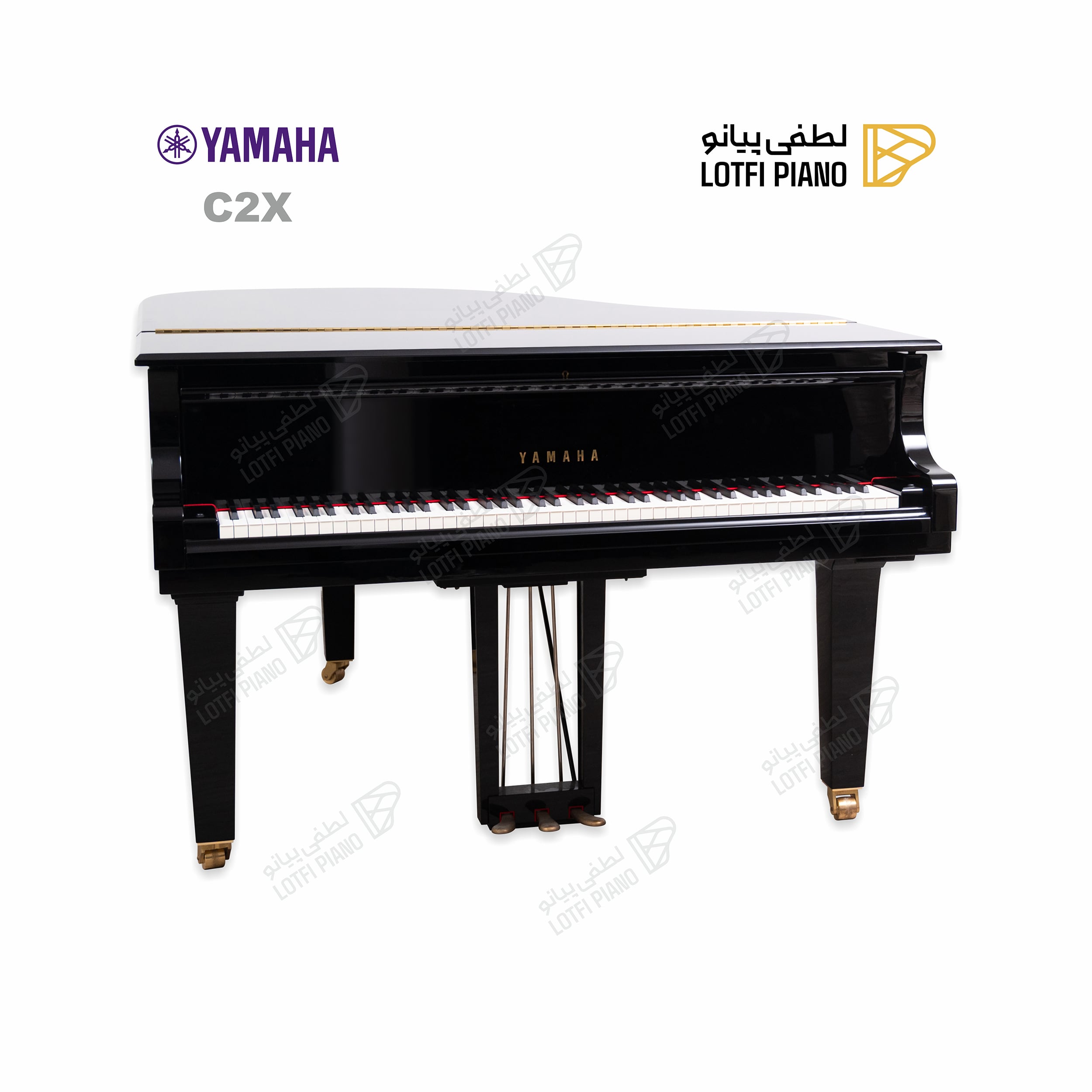 YAMAHA C2X - image 7