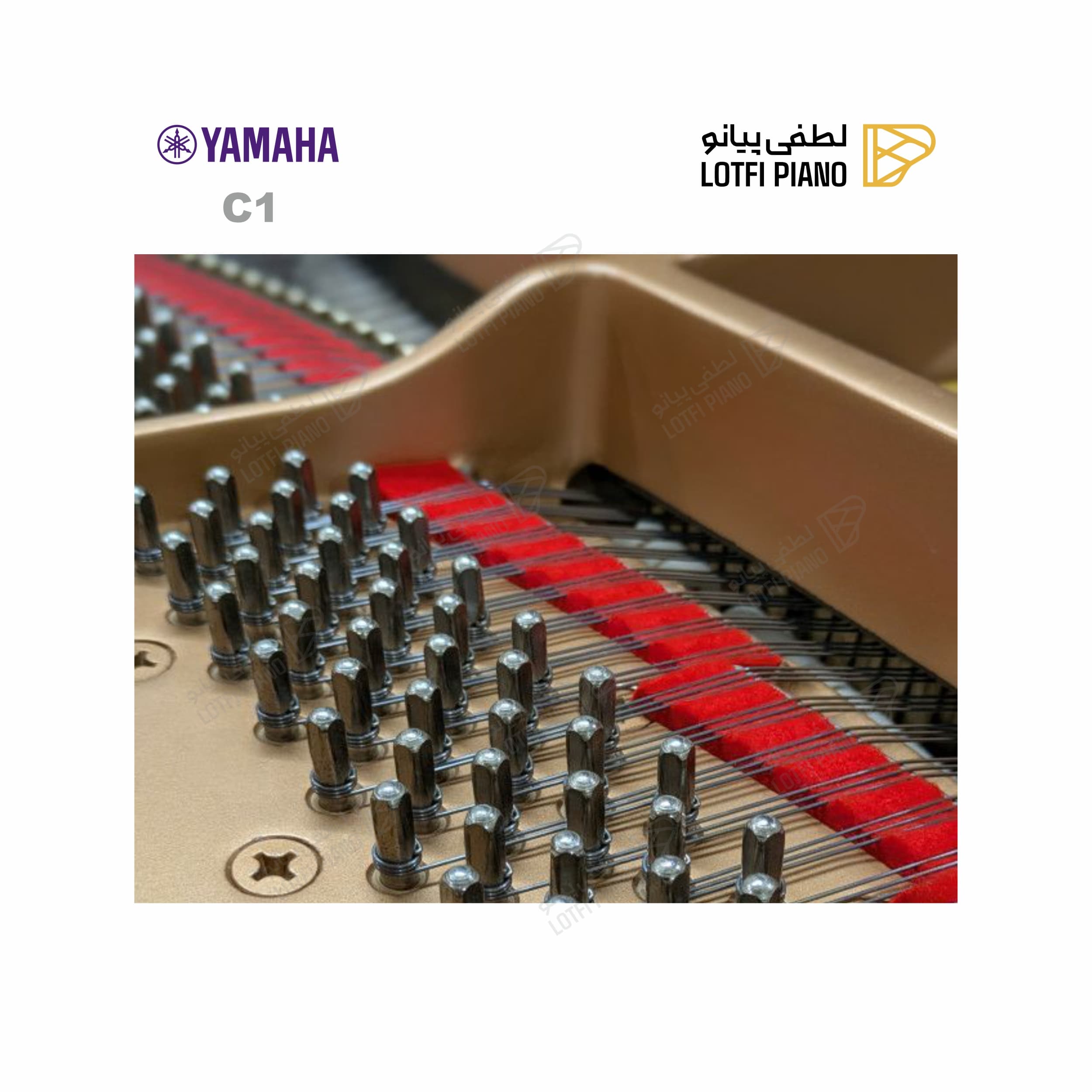 YAMAHA C1 - thumbnail 4