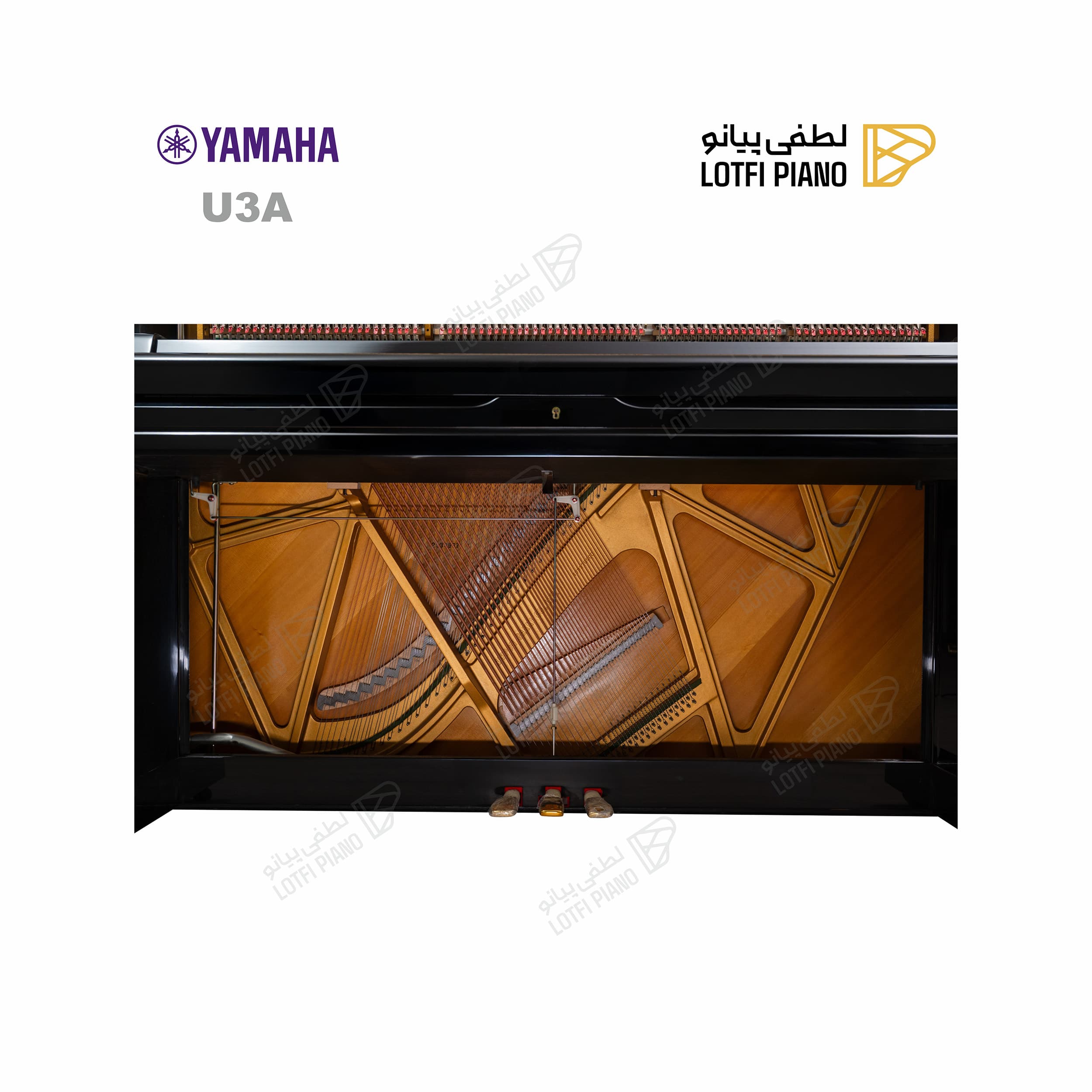 YAMAHA U3A - thumbnail 6