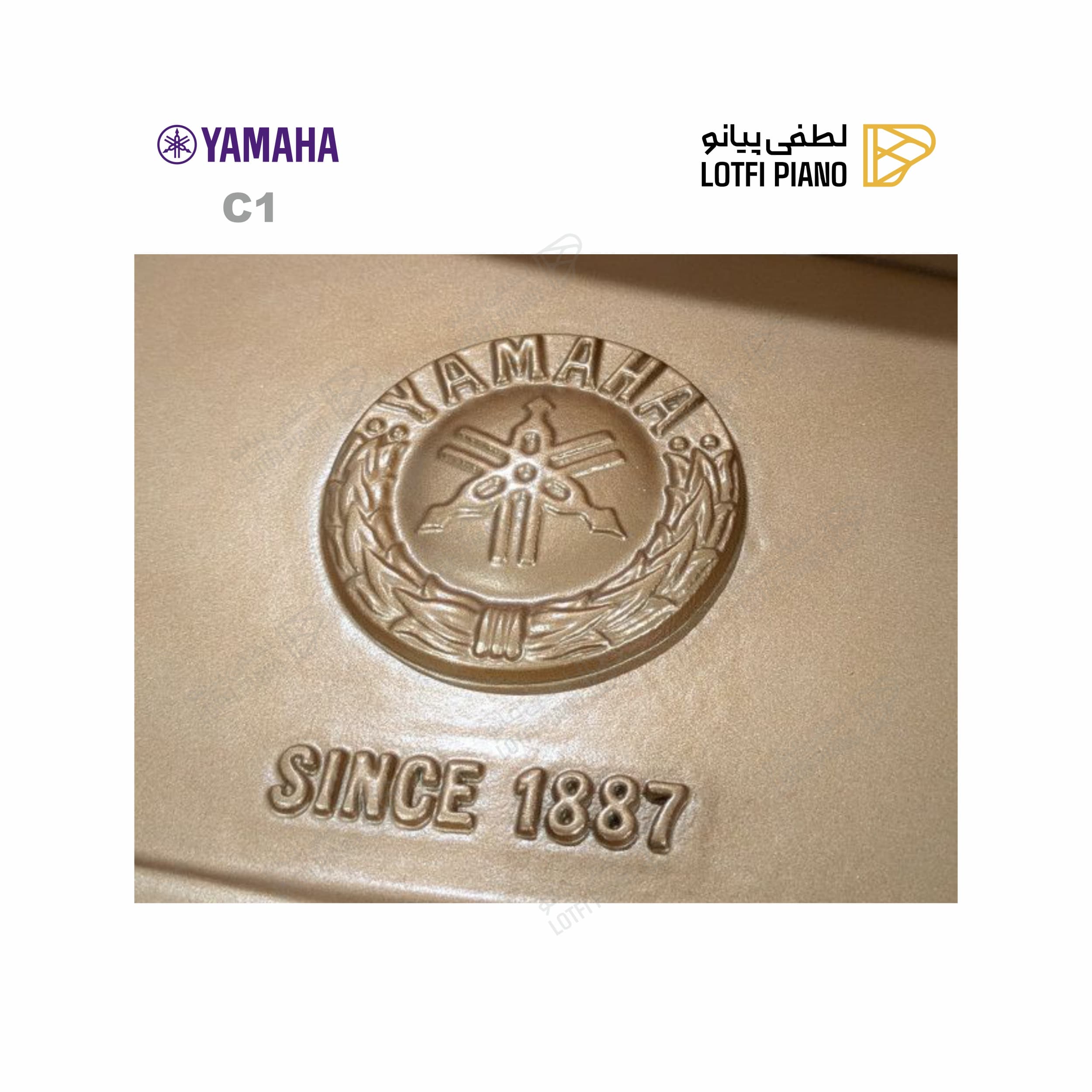 YAMAHA C1 - thumbnail 6