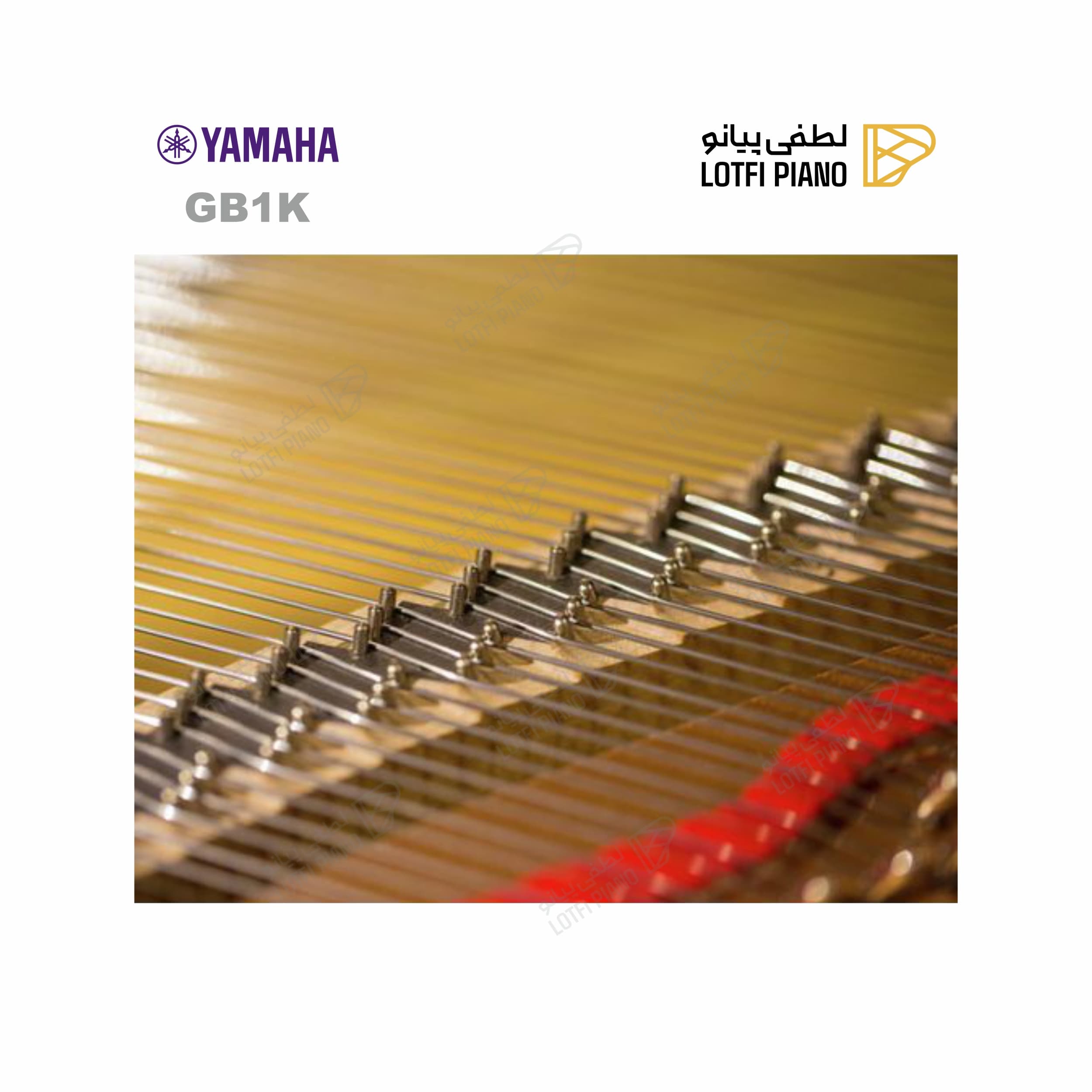 YAMAHA GB1K - thumbnail 6
