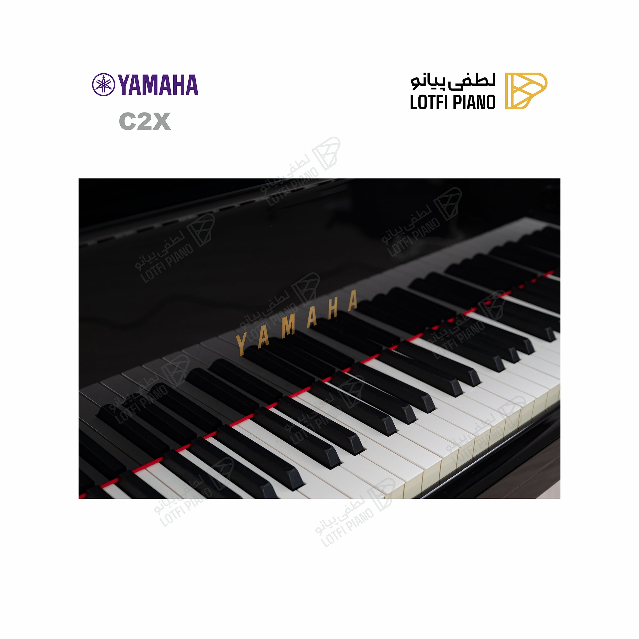 YAMAHA C2X - image 2