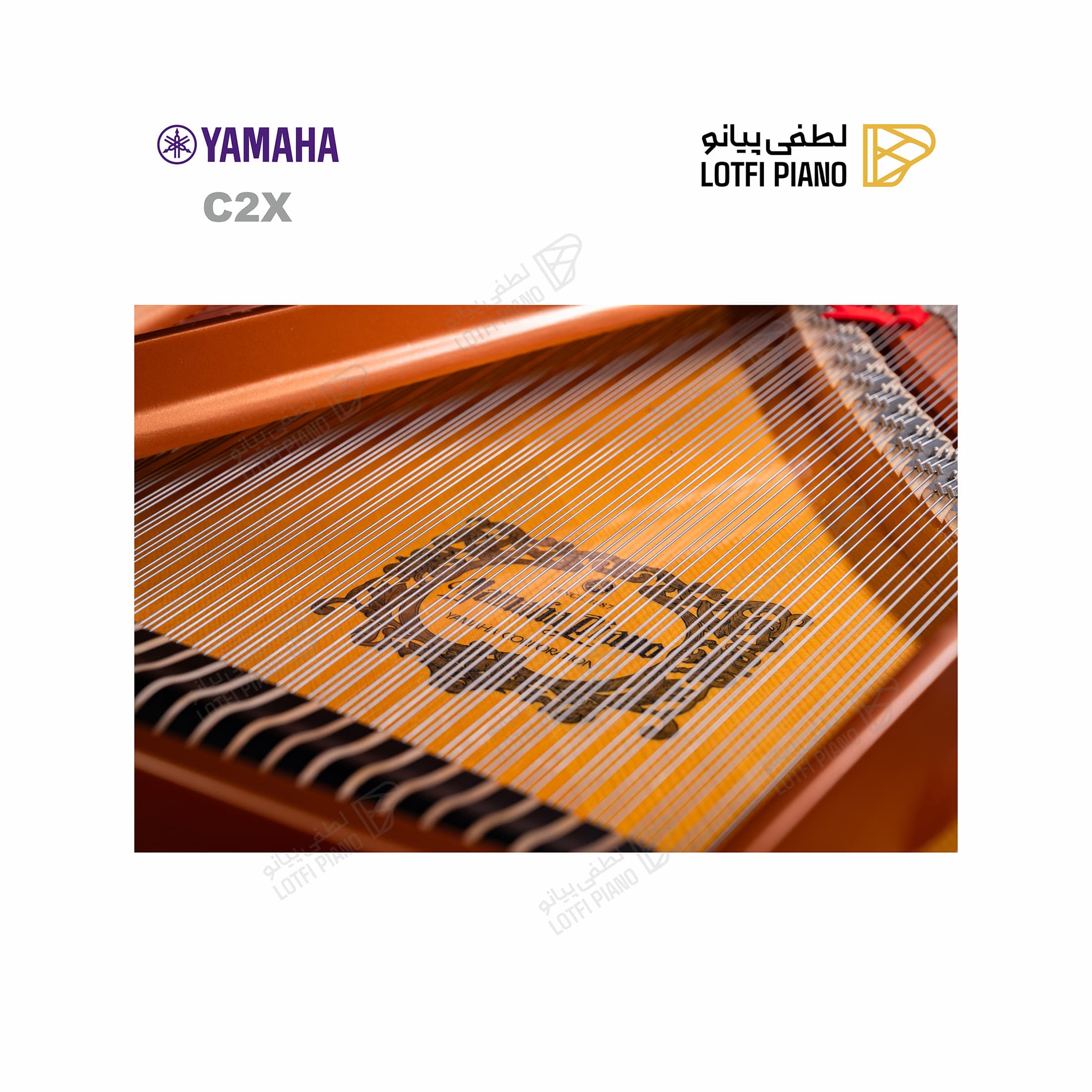 YAMAHA C2X - thumbnail 6