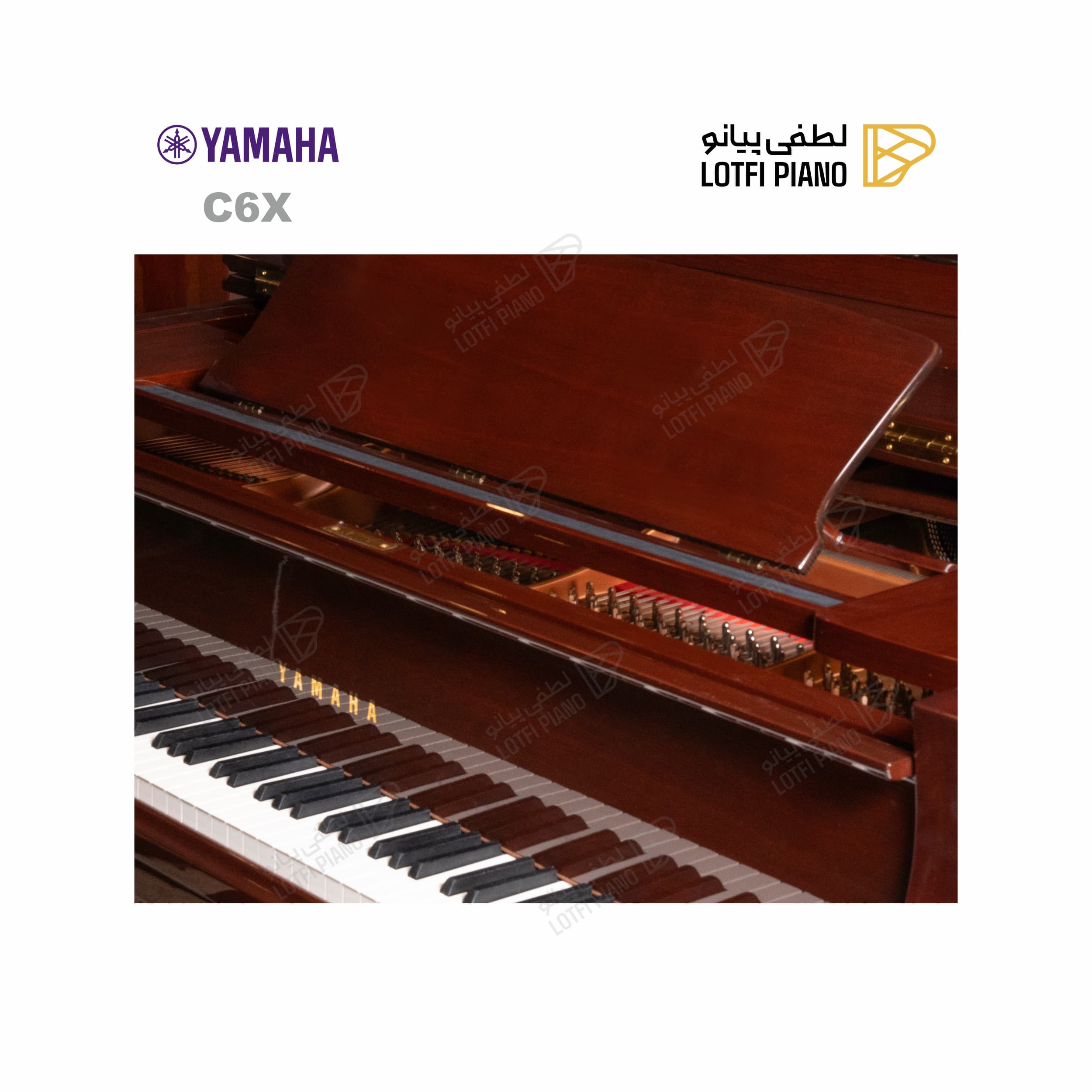 YAMAHA C6X - thumbnail 3