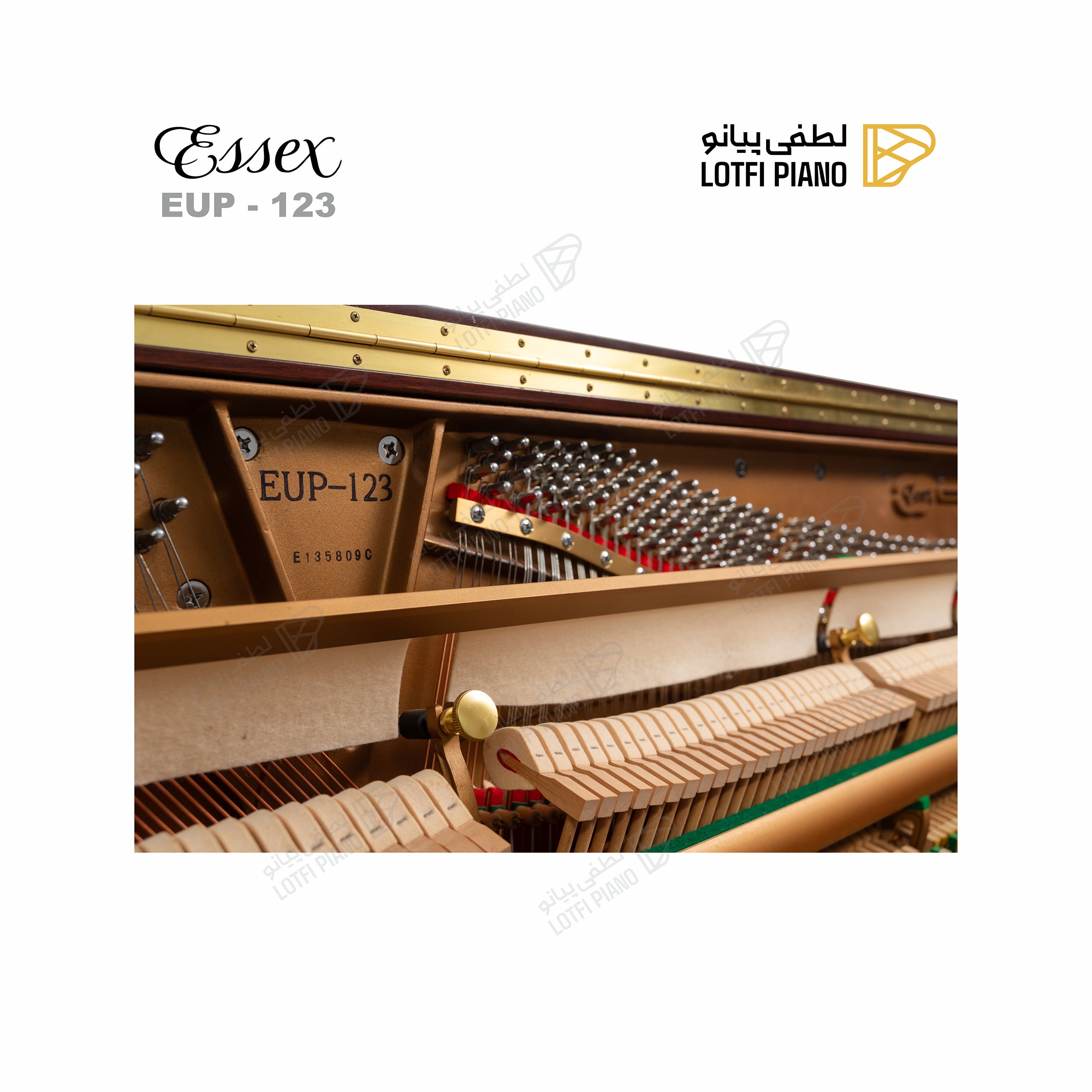 ESSEX EUP-123 - image 6