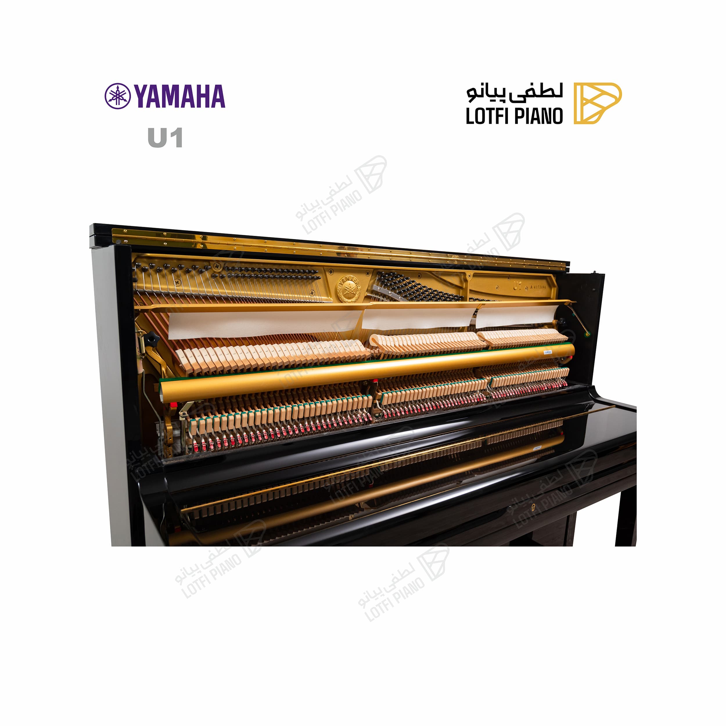 YAMAHA U1A - thumbnail 4