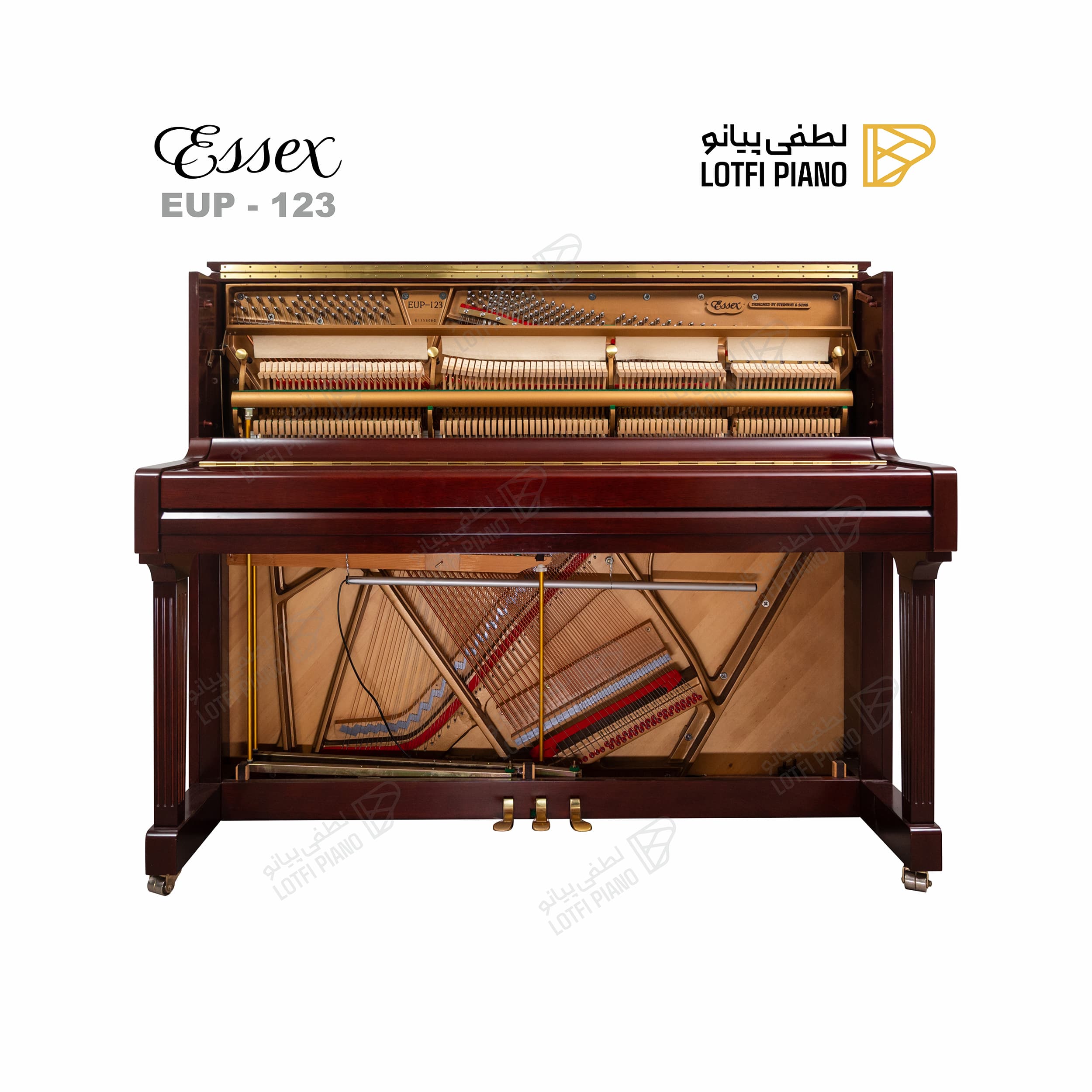 ESSEX EUP-123 - thumbnail 2