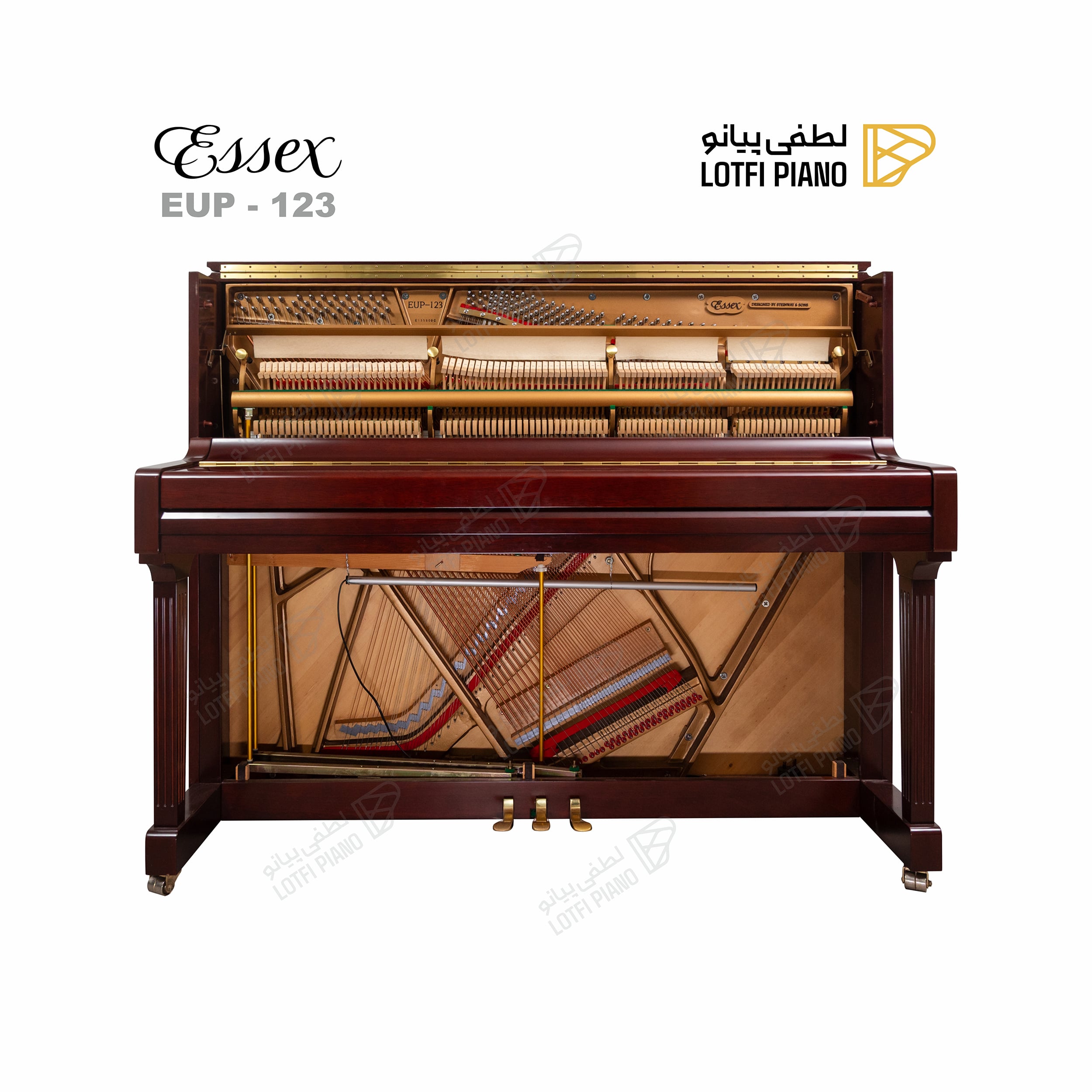 ESSEX EUP-123 - image 2