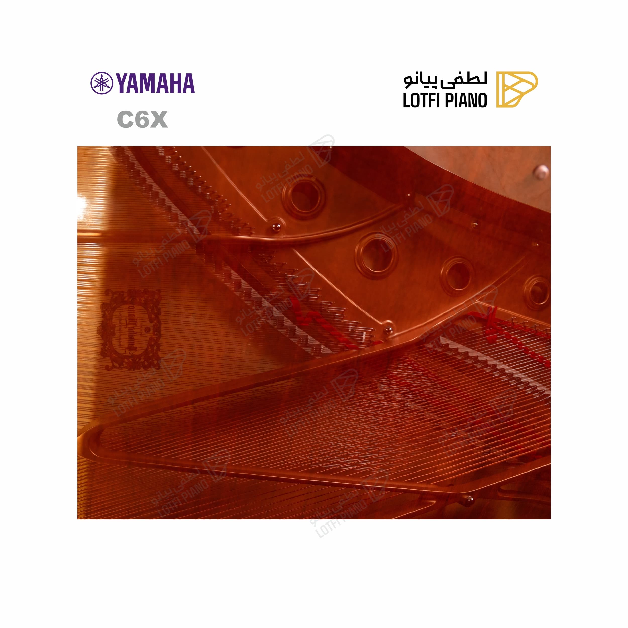 YAMAHA C6X - thumbnail 7