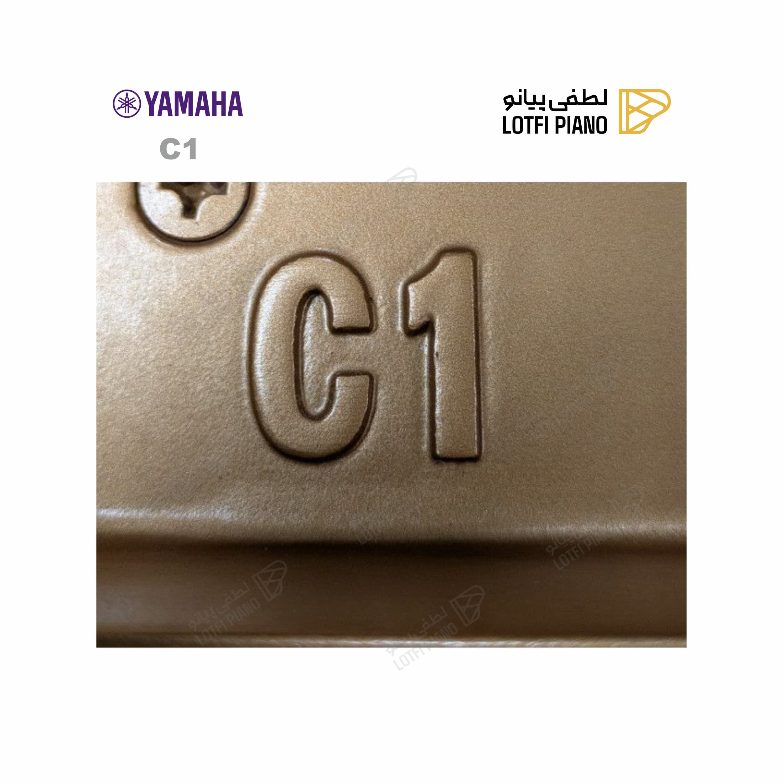 YAMAHA C1 - thumbnail 5