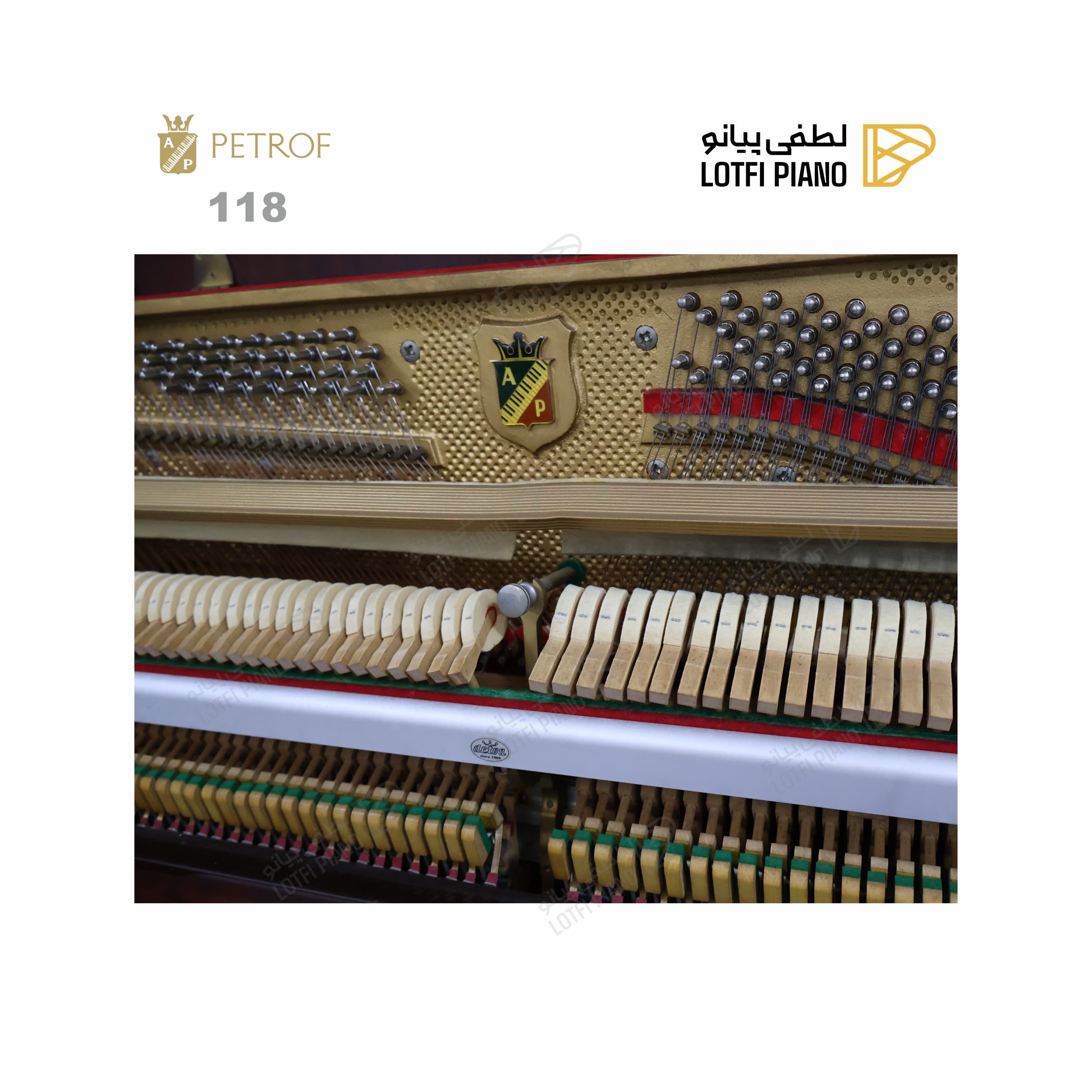 PETROF 118 - thumbnail 2