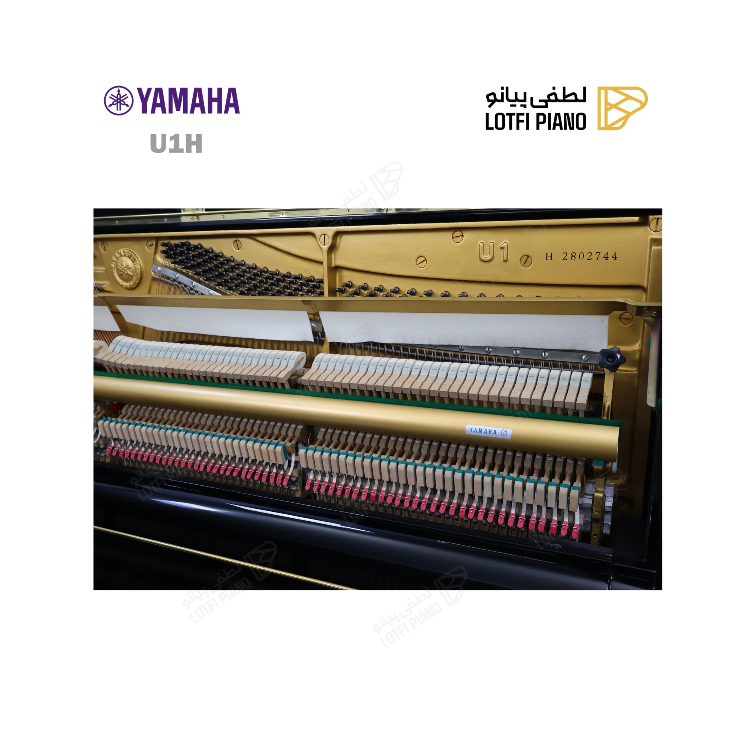 YAMAHA U 1 H - thumbnail 5