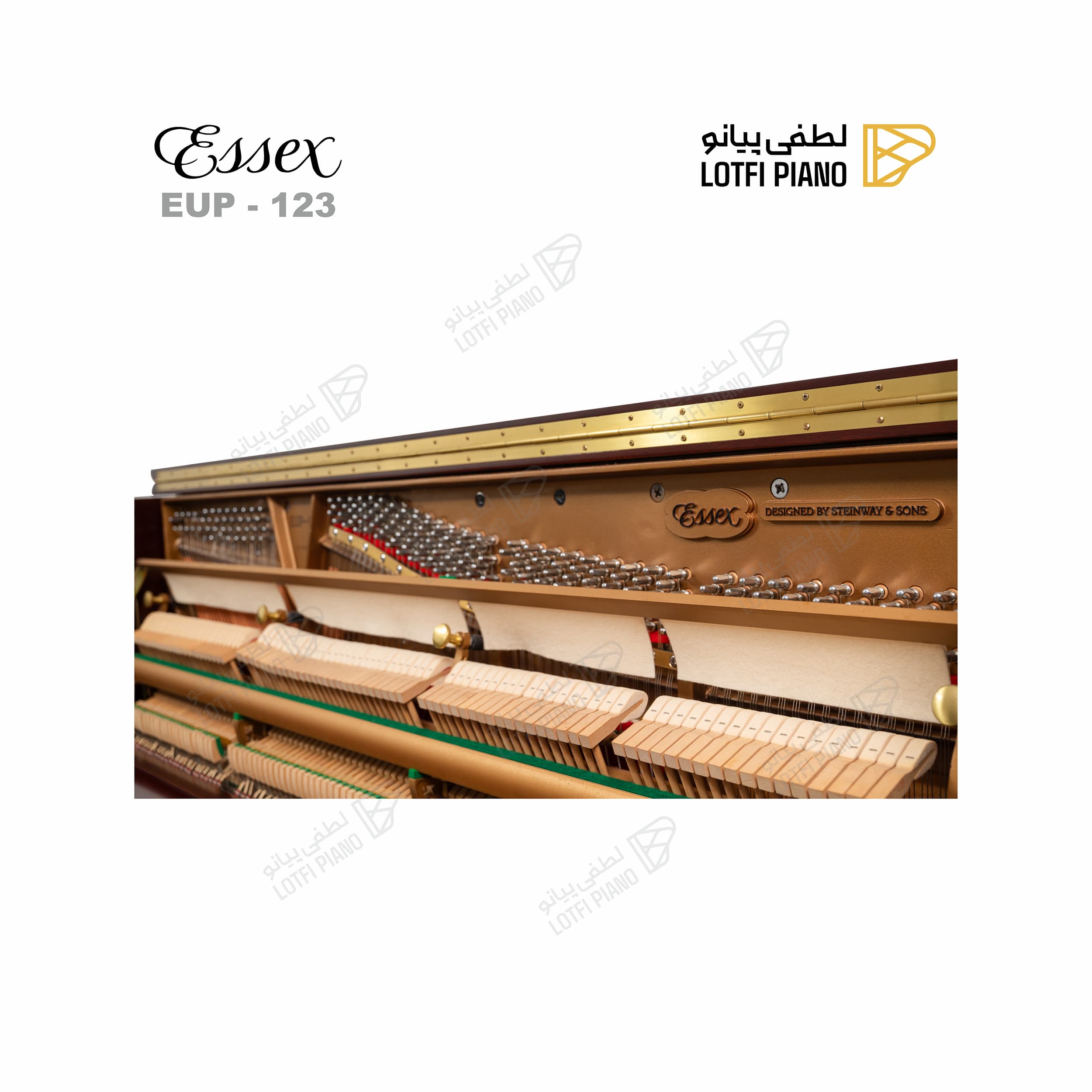 ESSEX EUP-123 - thumbnail 5