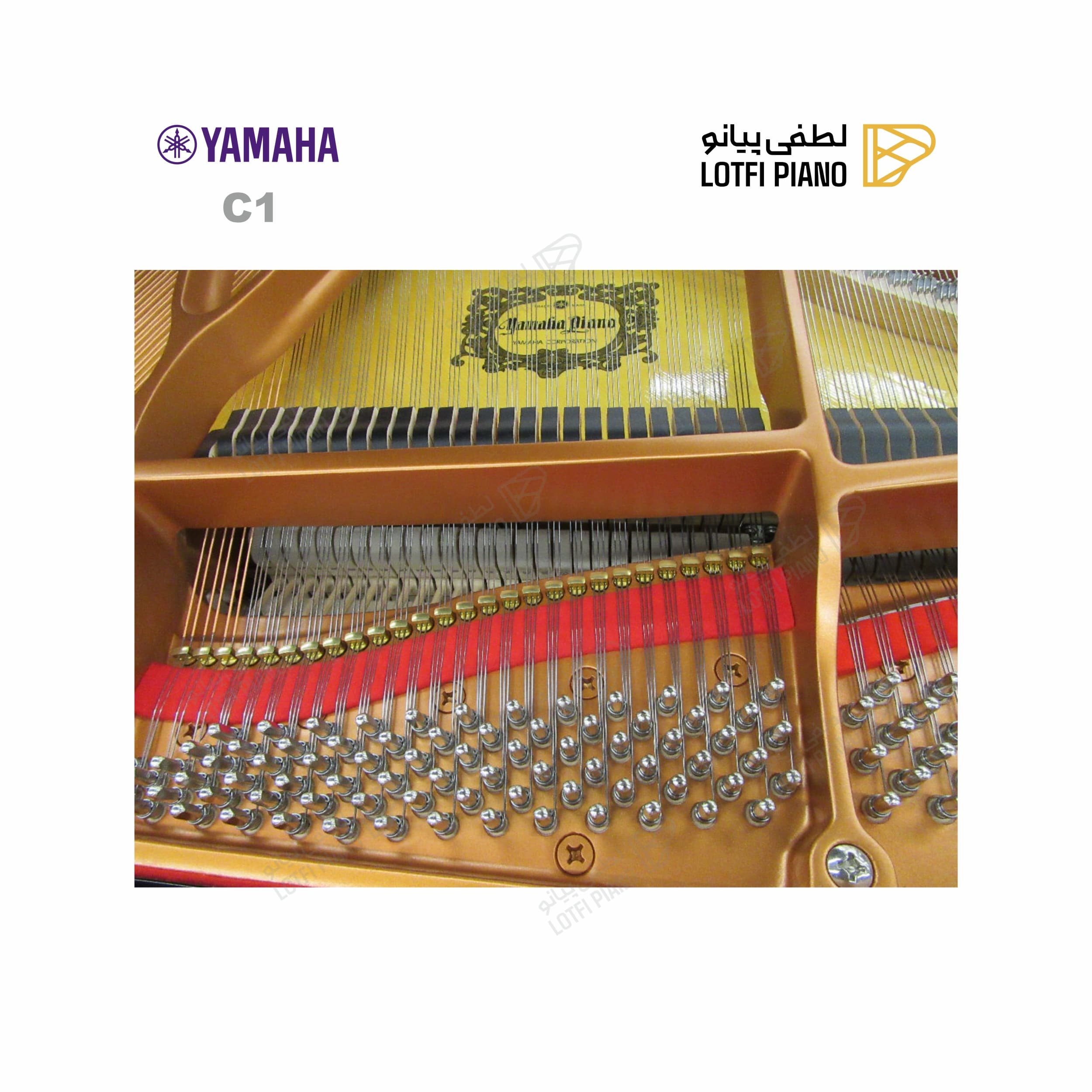 YAMAHA C1 - thumbnail 3