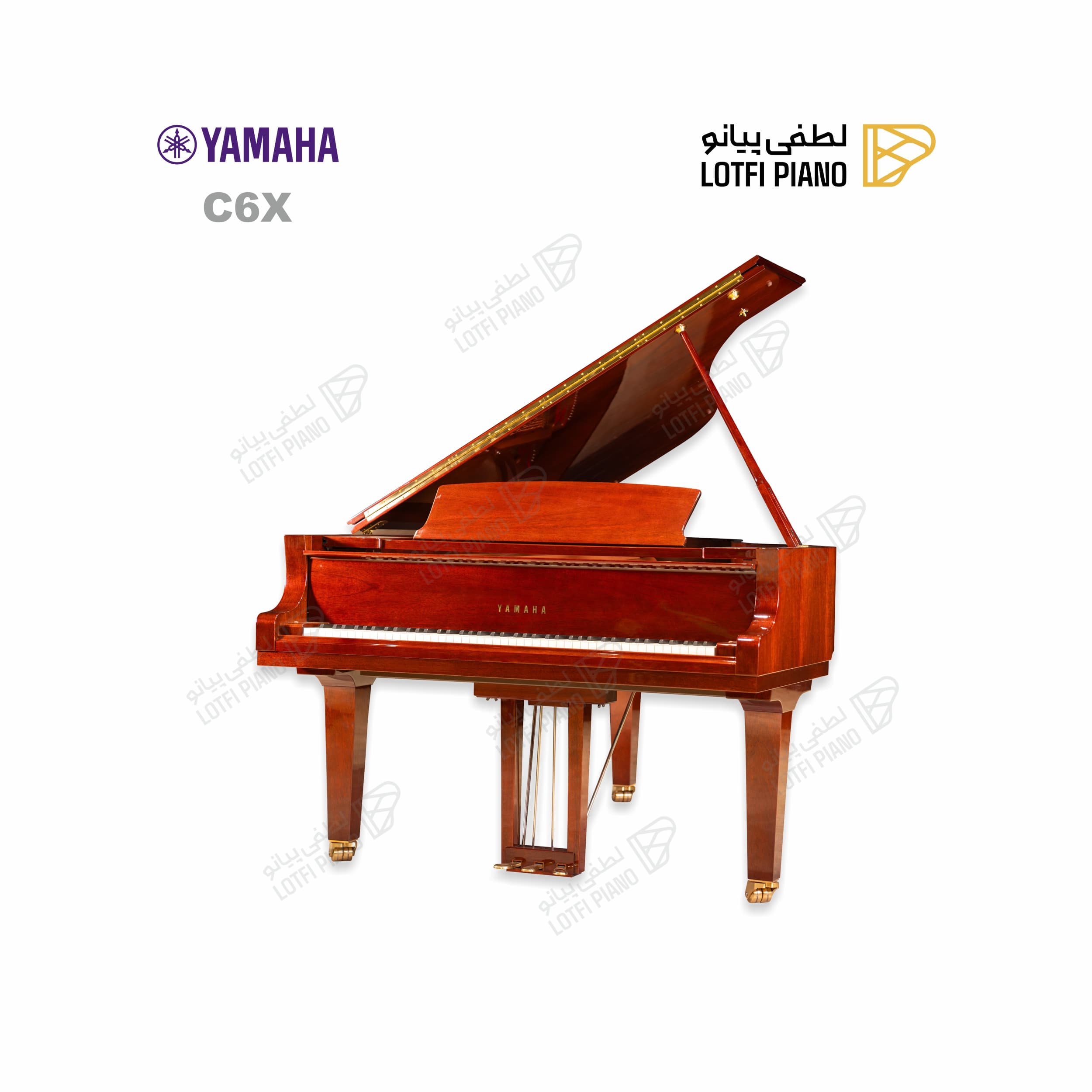 YAMAHA C6X