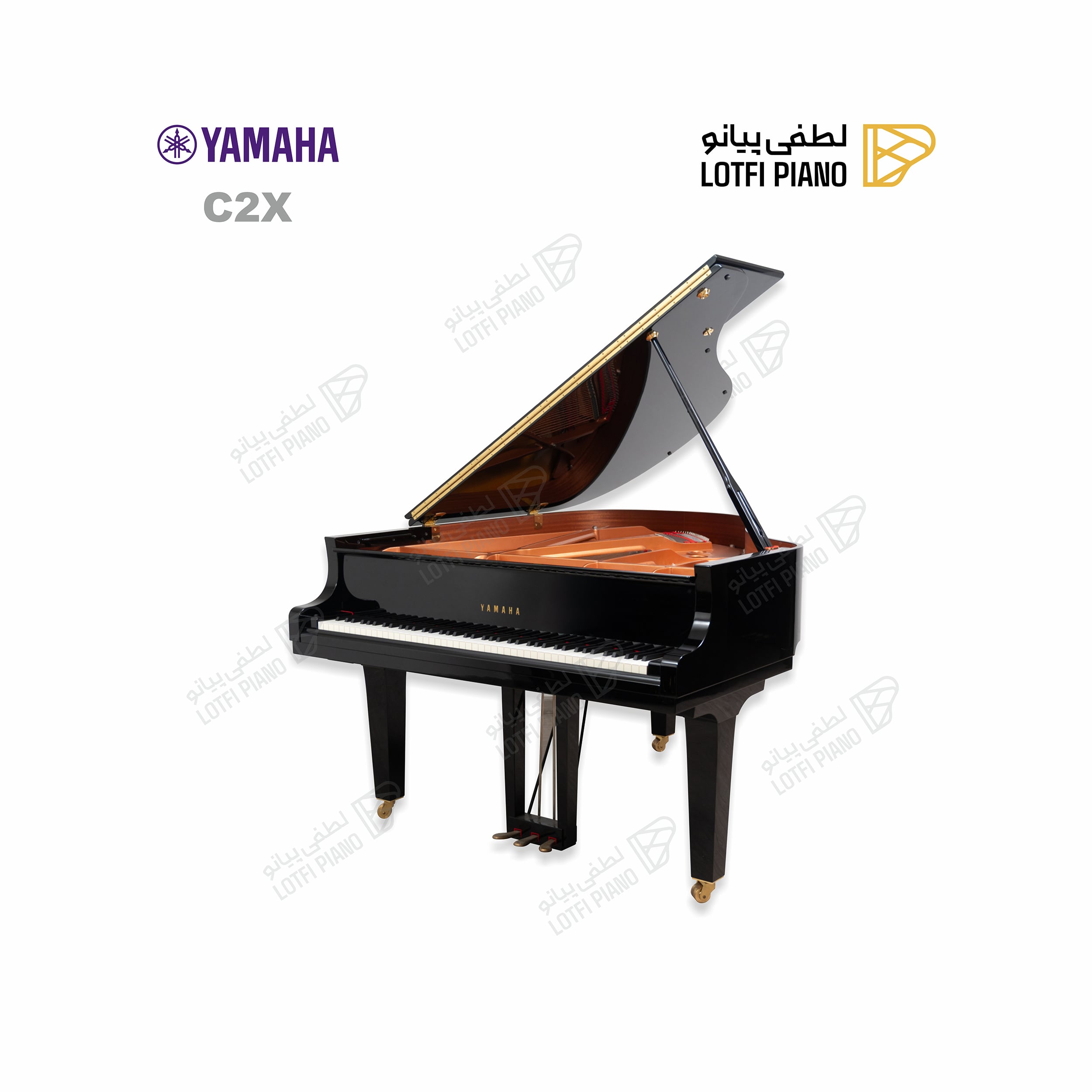 YAMAHA C2X - image 1